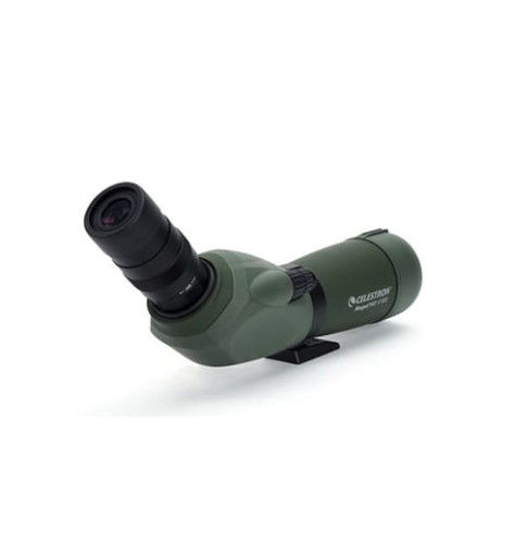 CELESTRON_LUNETA_OBSERWACYJNA_REGAL_M2_65ED_52304_SKLEP_BAZANT_1.JPG
