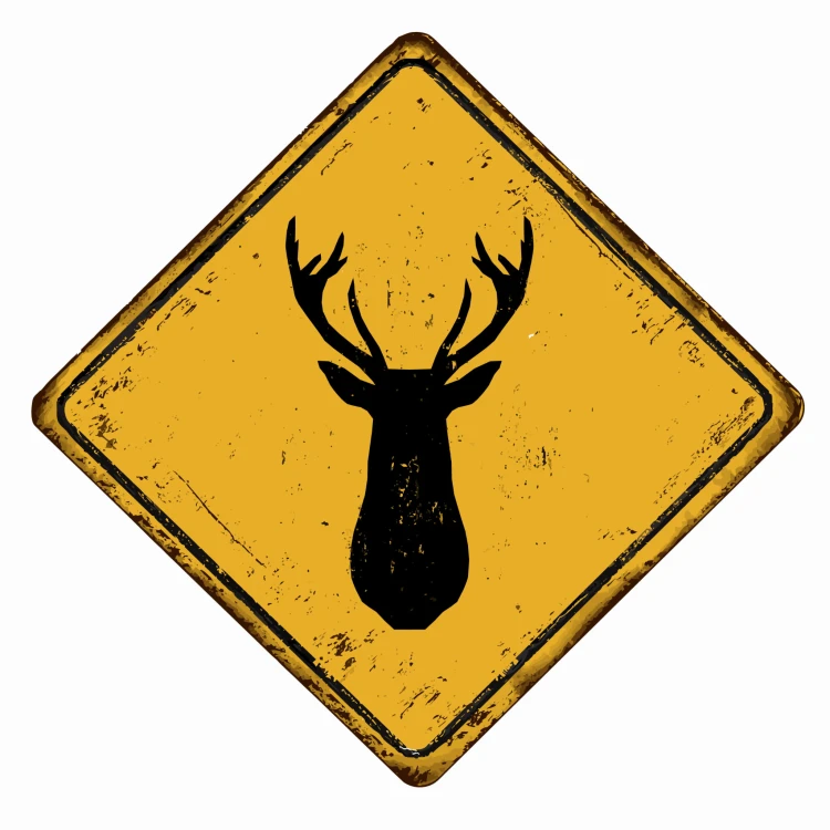 MYŚLISTWO IKONA SKLEP BAŻANT.jpg