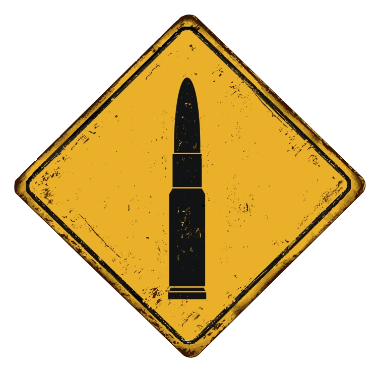 AMUNICJA_IKONA.png