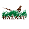 30916.png