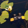 DELTA_OPTICAL_SAILOR_7X50_C1_DO-1520_SKLEP_BAZANT.jpg