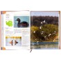 ZWIERZĘTA_CHRONIONE_PODRĘCZNIK_DLA_MYŚLIWYCH_SKLEP_BAZANT_2.jpg