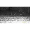 DZIENO-NOCNY_NOKTOWIZOR_CYFROWY_NIGHTHUNTER_NH-1_6x50_01650_SKLEP_BAZANT_5.jpg