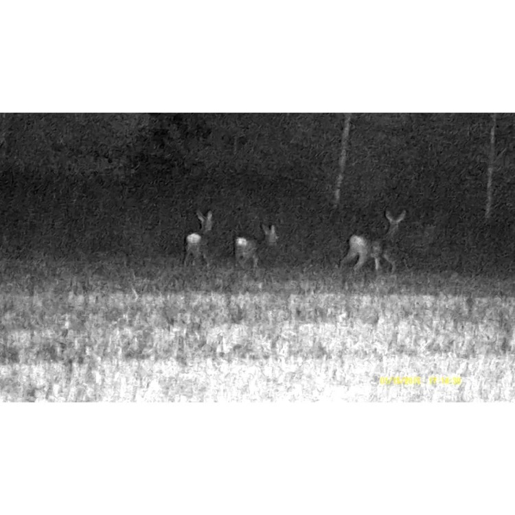 DZIENO-NOCNY_NOKTOWIZOR_CYFROWY_NIGHTHUNTER_NH-1_6x50_01650_SKLEP_BAZANT_5.jpg