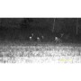DZIENO-NOCNY_NOKTOWIZOR_CYFROWY_NIGHTHUNTER_NH-1_6x50_01650_SKLEP_BAZANT_5.jpg