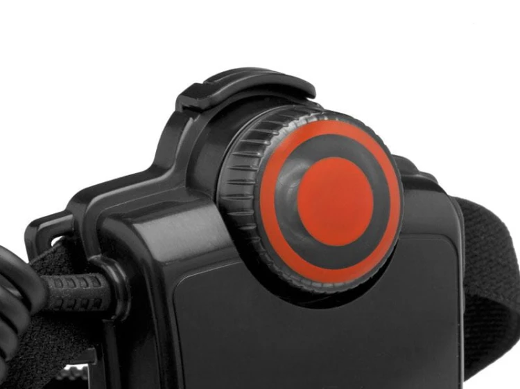 7369_7787_a.jpg