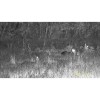 DZIENO-NOCNY_NOKTOWIZOR_CYFROWY_NIGHTHUNTER_NH-1_6x50_01650_SKLEP_BAZANT_4.jpg