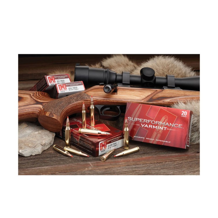 AMUNICJA_HORNADY_223_REM_V-MAX_53GR_3,43G_(20SZT)_8025_SKLEP_BAZANT_3.jpg