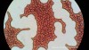 20160317_153546_375915.jpg