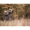 ZEISS_CONQUEST_V6_2–12x50_ASV_H_SKLEP_BAZANT_6.jpg